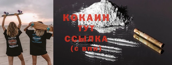 твердый Аркадак